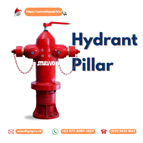 Panduan Lengkap Pillar Hydrant 2 Way